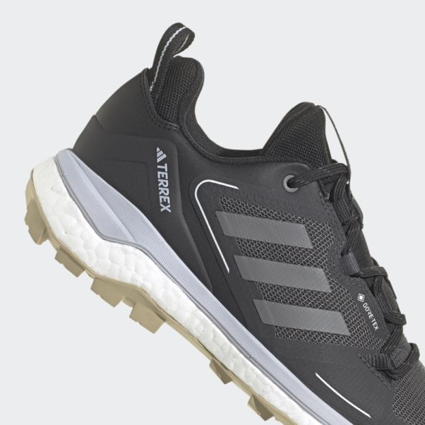Chaussures De Marche Adidas Terrex Skychaser 2.0 Gore-tex Noir
