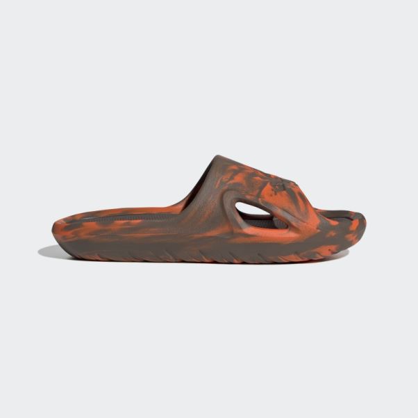 Terre Adidas Adicane Diapositives