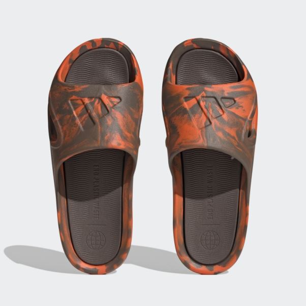 Terre Adidas Adicane Diapositives