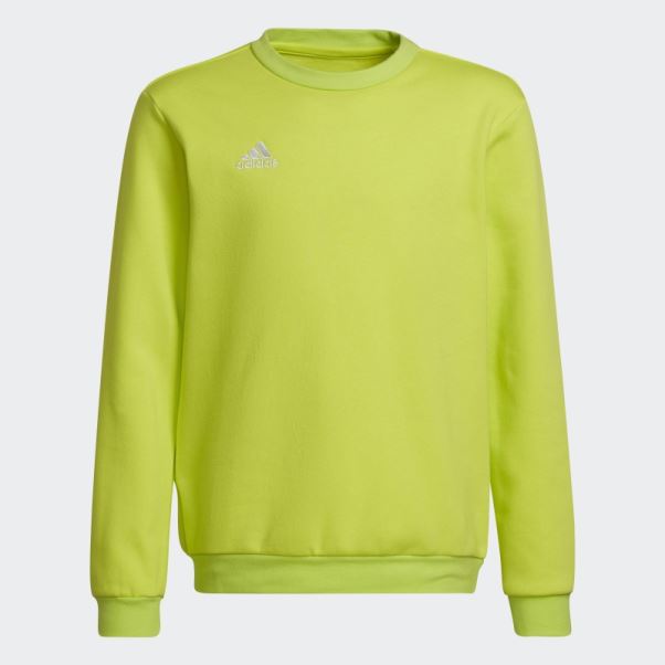 Hot Entrada 22 Sweat Sol Jaune Adidas