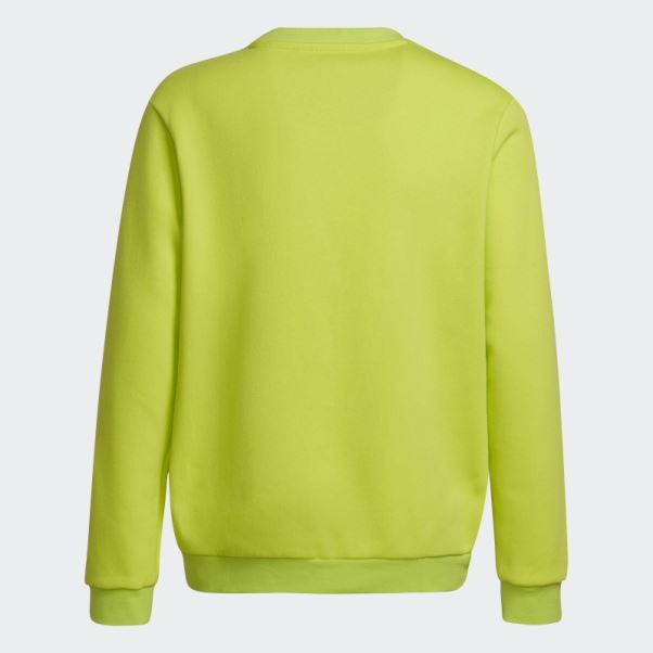 Hot Entrada 22 Sweat Sol Jaune Adidas