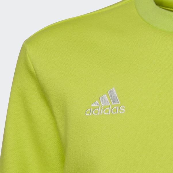 Hot Entrada 22 Sweat Sol Jaune Adidas