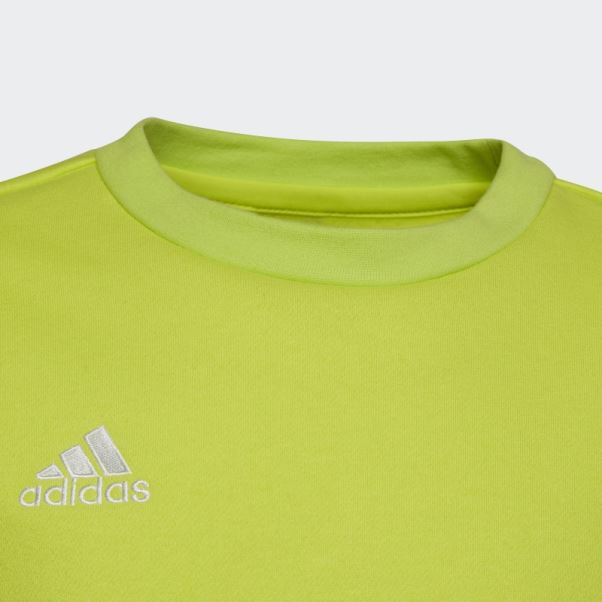 Hot Entrada 22 Sweat Sol Jaune Adidas