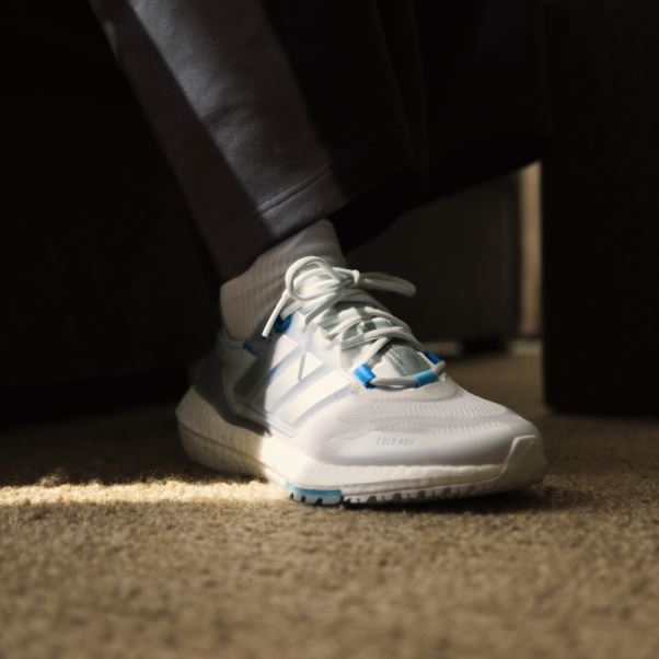 Teinte Bleue Adidas Ultraboost 22 Cold.rdy Chaussures