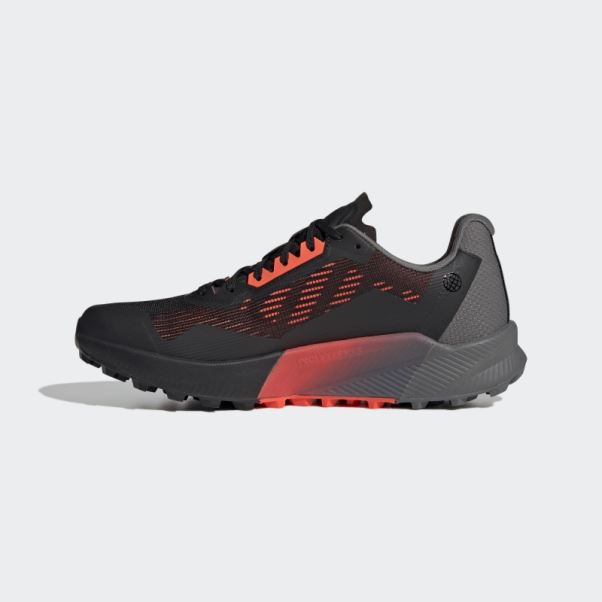 Adidas Terrex Agravic Flow Gore-tex Trail Running Chaussures 2.0 Noir