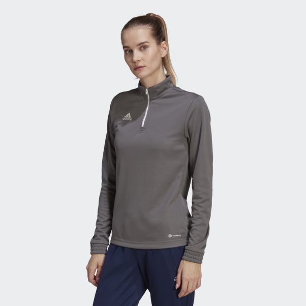 Adidas Entrada 22 Training Top Gris