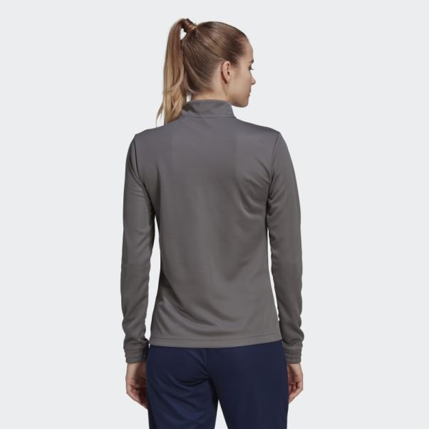 Adidas Entrada 22 Training Top Gris
