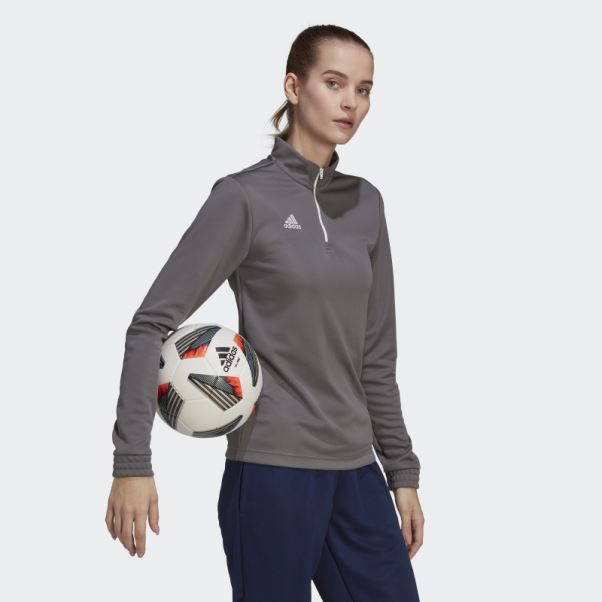 Adidas Entrada 22 Training Top Gris