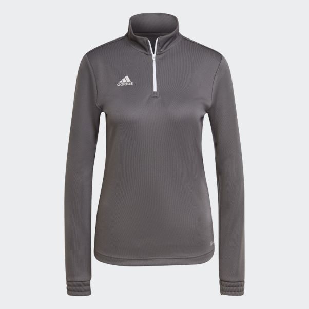 Adidas Entrada 22 Training Top Gris