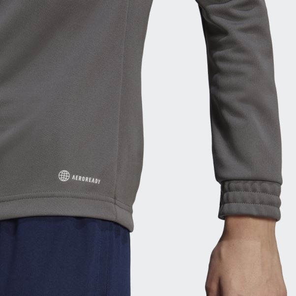 Adidas Entrada 22 Training Top Gris