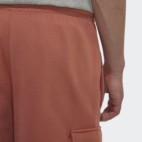 Short Cargo Ozworld Graphique Terre Adidas
