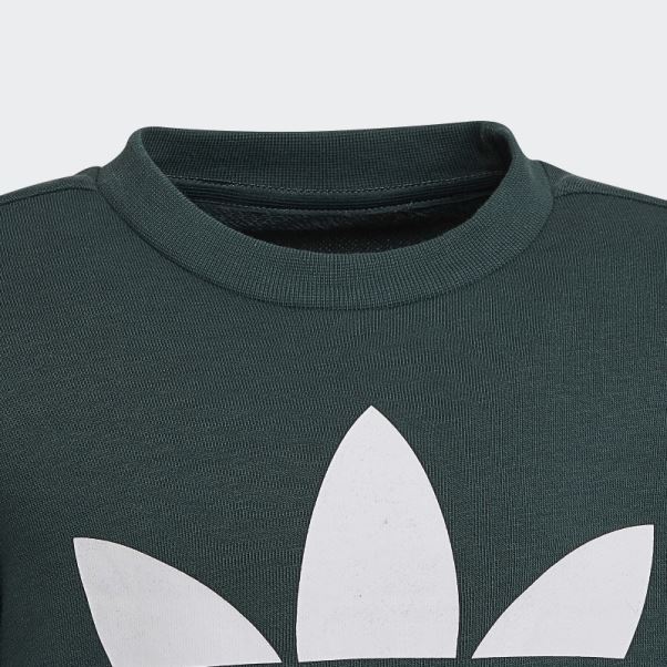 Adidas Adicolor Crew Set Vert Minéral