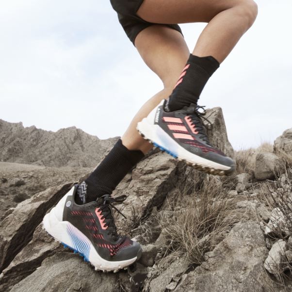Adidas Terrex Agravic Flow 2 Chaussures De Course Sur Sentier Turbo