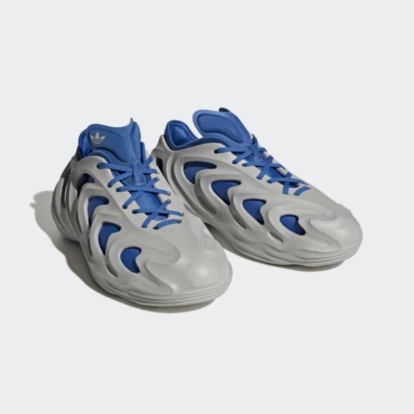 Adidas Adifom Q Chaussures Royal