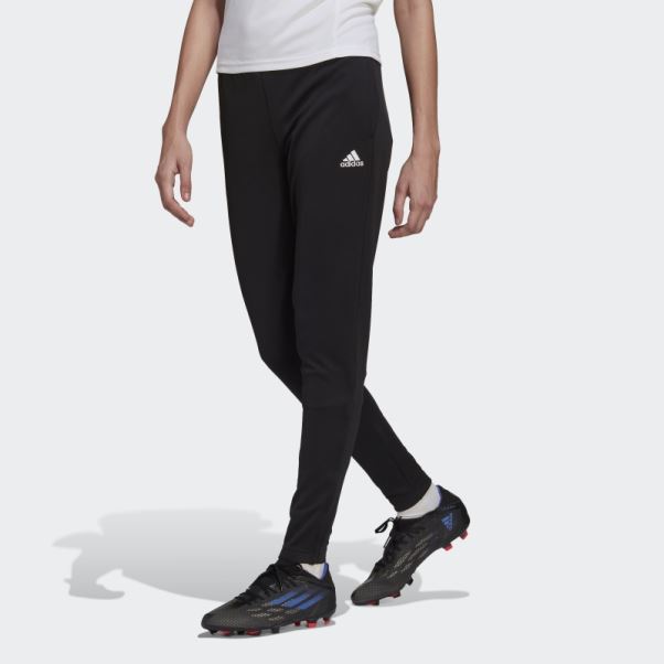 Entrada 22 Pantalon De Survêtement D'entraînement Noir Adidas