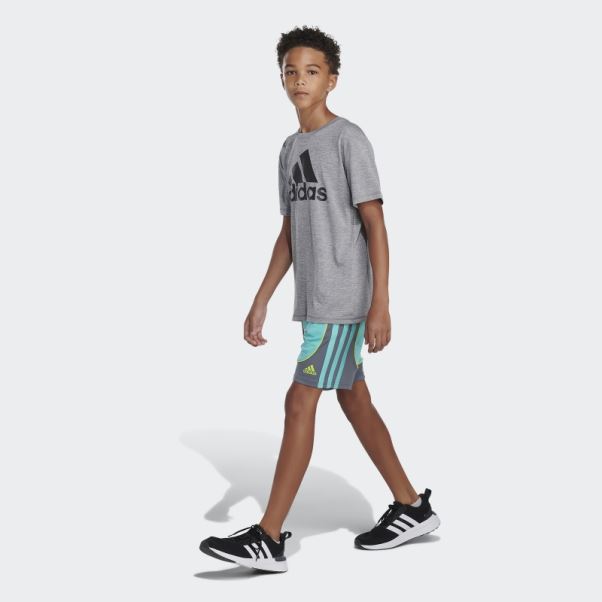 Adidas Short Créateur Ruée Vers La Menthe