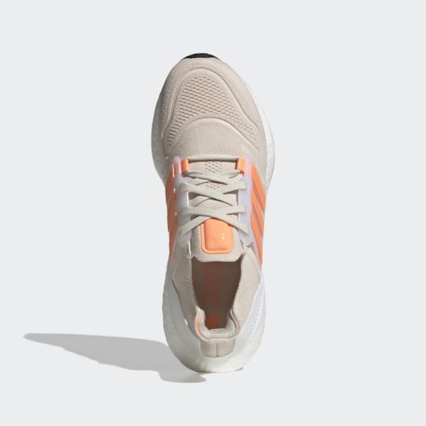 Chaussures Ultraboost 22 En Aluminium Adidas