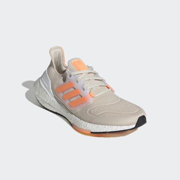 Chaussures Ultraboost 22 En Aluminium Adidas