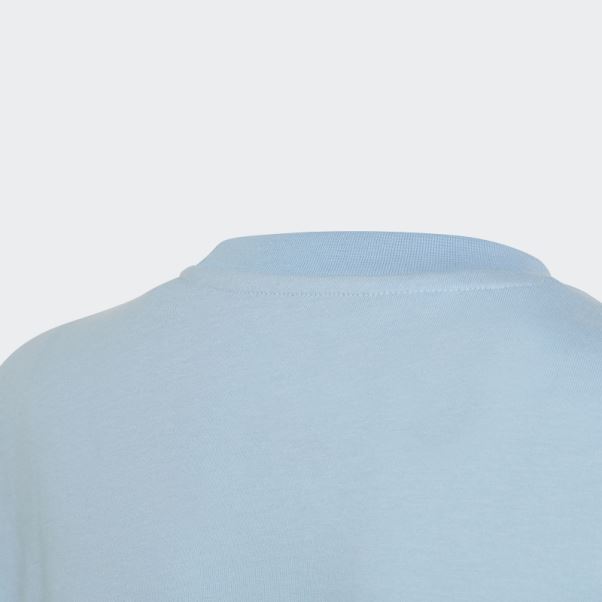 Tee Shirt Adicolor Adidas Sky