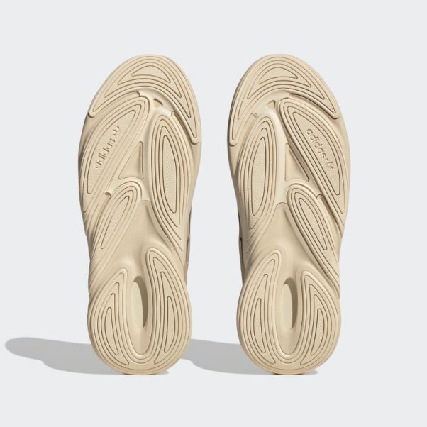Chaussures Adidas Ozelia Beiges