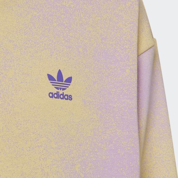 Sweat à Capuche Court Imprimé Graphique Adidas Lilas