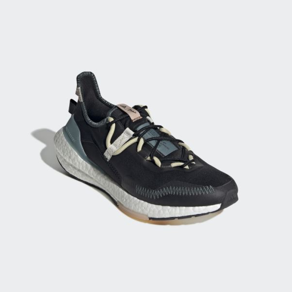 Chaussures Ultraboost 21 X Parley Carbone Adidas