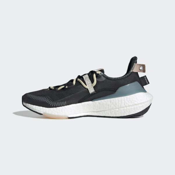 Chaussures Ultraboost 21 X Parley Carbone Adidas