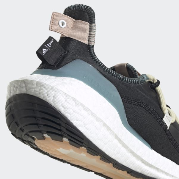 Chaussures Ultraboost 21 X Parley Carbone Adidas