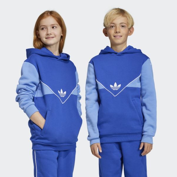 Sweat à Capuche Adidas Adicolor Bleu