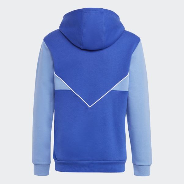 Sweat à Capuche Adidas Adicolor Bleu