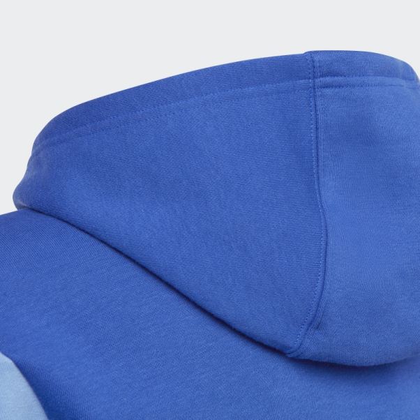Sweat à Capuche Adidas Adicolor Bleu