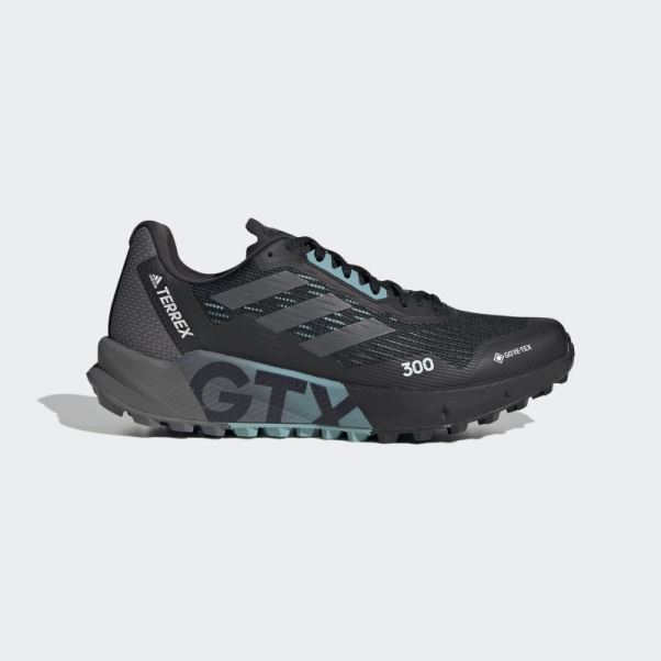 Adidas Terrex Agravic Flow 2.0 Gore-tex Chaussures De Course Sur Sentier