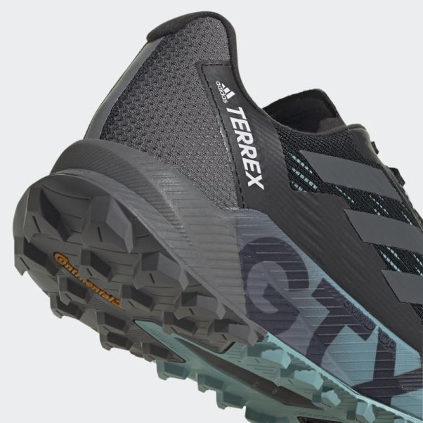 Adidas Terrex Agravic Flow 2.0 Gore-tex Chaussures De Course Sur Sentier
