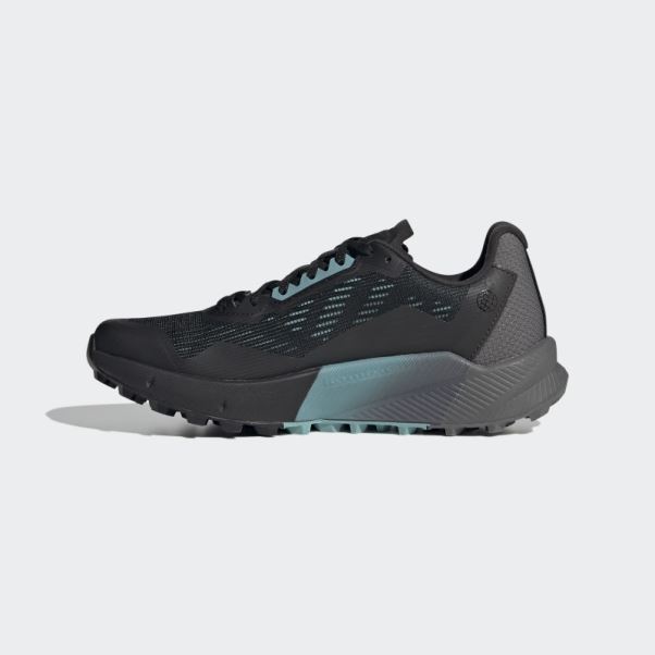 Adidas Terrex Agravic Flow 2.0 Gore-tex Chaussures De Course Sur Sentier