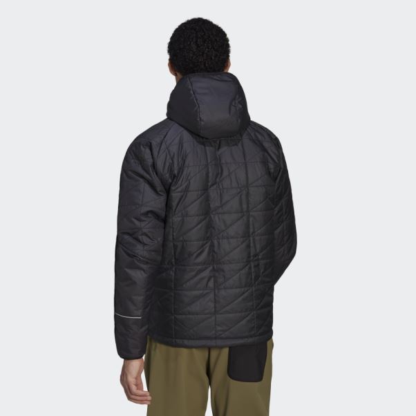 Veste à Capuche Adidas Terrex Multi Isolée Noir