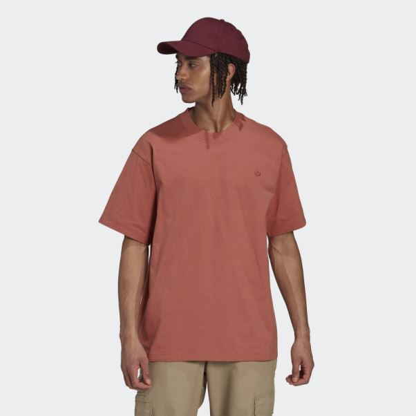 T-shirt Terre Adicolor Contempo Adidas