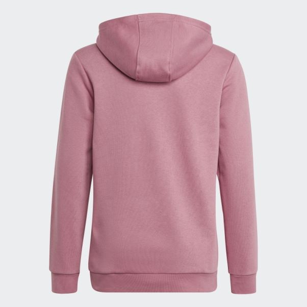Sweat à Capuche Adicolor Adidas Rose