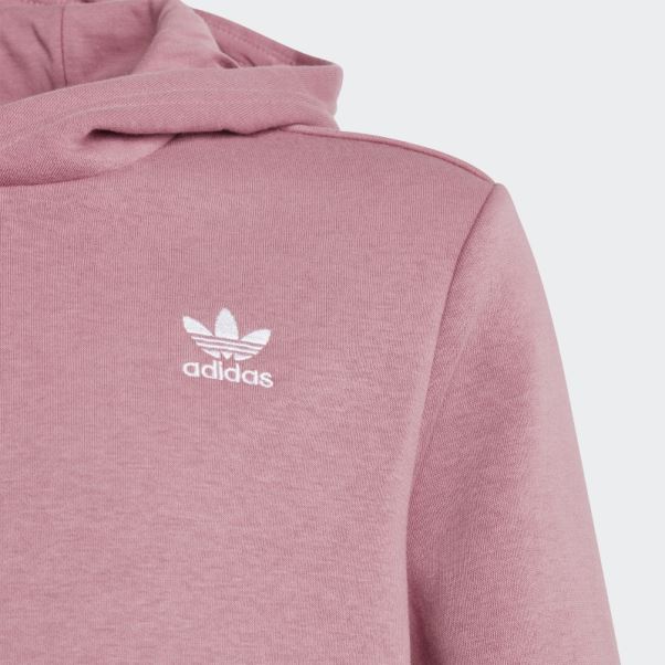 Sweat à Capuche Adicolor Adidas Rose