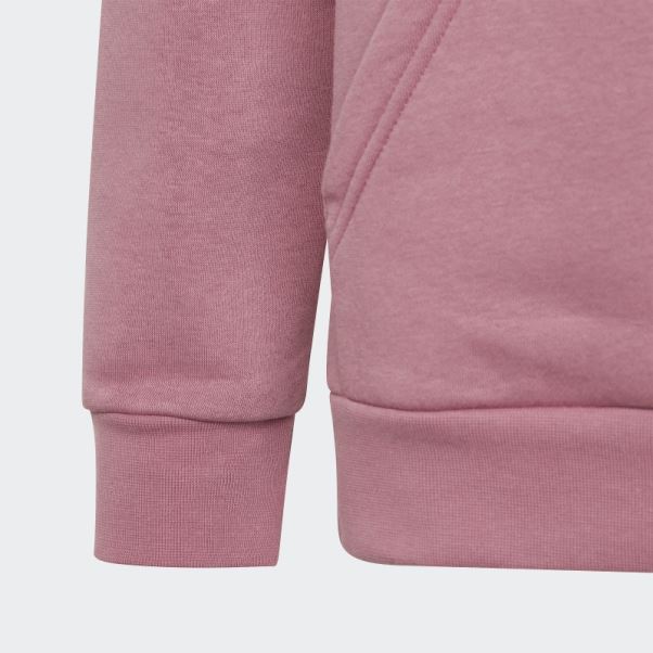 Sweat à Capuche Adicolor Adidas Rose