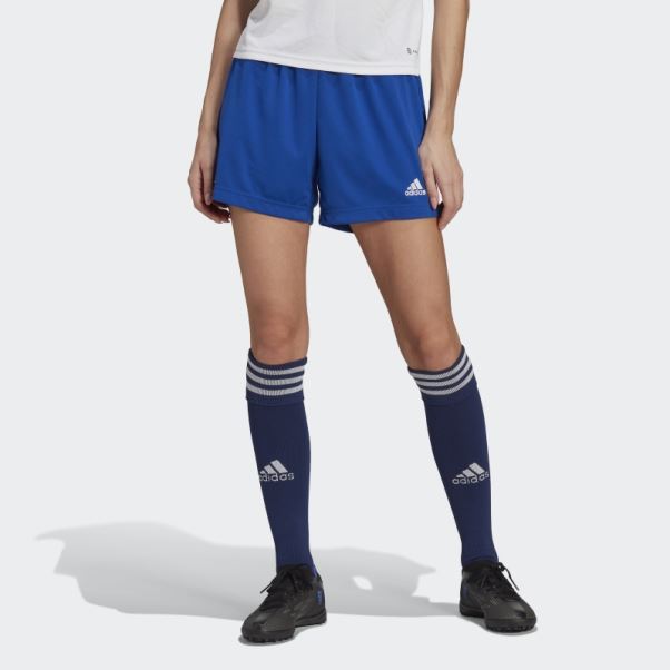 Short Adidas Entrada 22 Bleu Marine Chaud