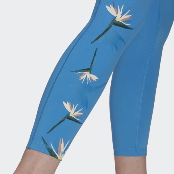 Adidas Thebe Magugu Studio 7/8 Legging Bleu