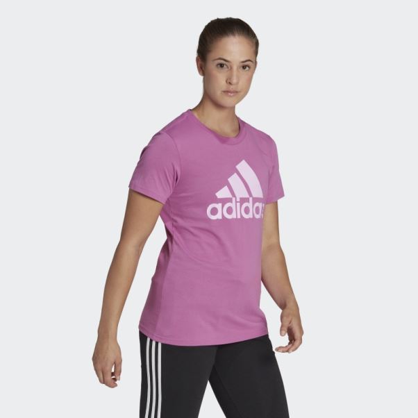 Tee Shirt Logo Essentials Adidas Lilas