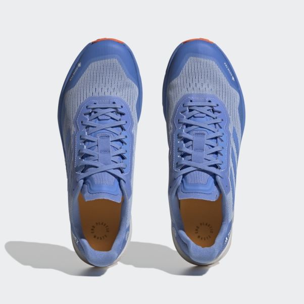 Bleu Terrex Agravic Flux Gore-tex Trail Chaussures De Course 2.0 Adidas