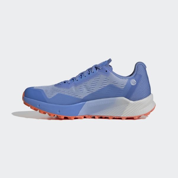 Bleu Terrex Agravic Flux Gore-tex Trail Chaussures De Course 2.0 Adidas