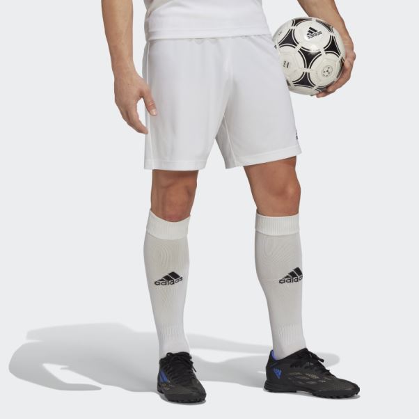 Entrada 22 Short Adidas Blanc