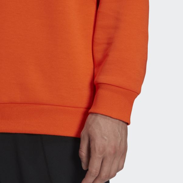 Sweat à Capuche Adidas Terrex Logo Orange