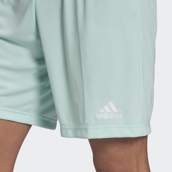 Short Adidas Entrada 22 Vert Menthe