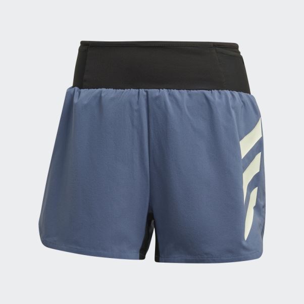 Short Terrex Agravic Acier Adidas
