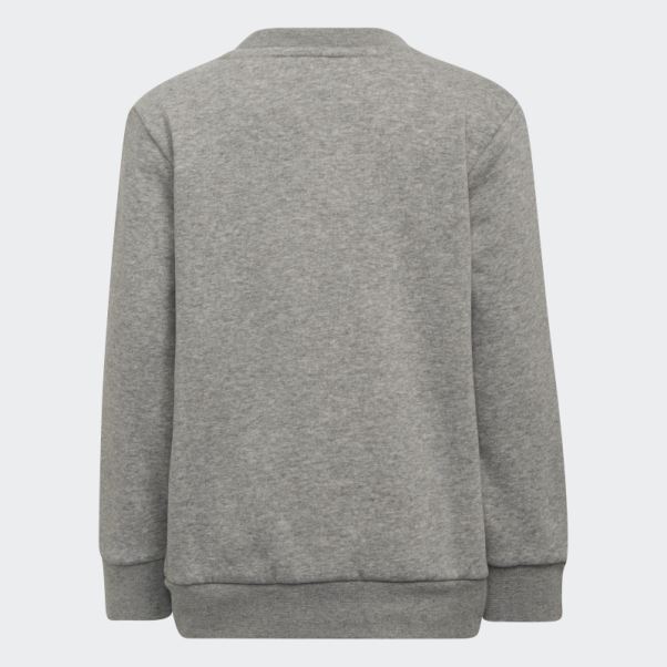Adidas Adicolor Crew Set Gris Moyen