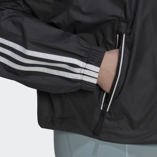 Coupe-vent Bsc 3 Bandes (taille Plus) Adidas Noir
